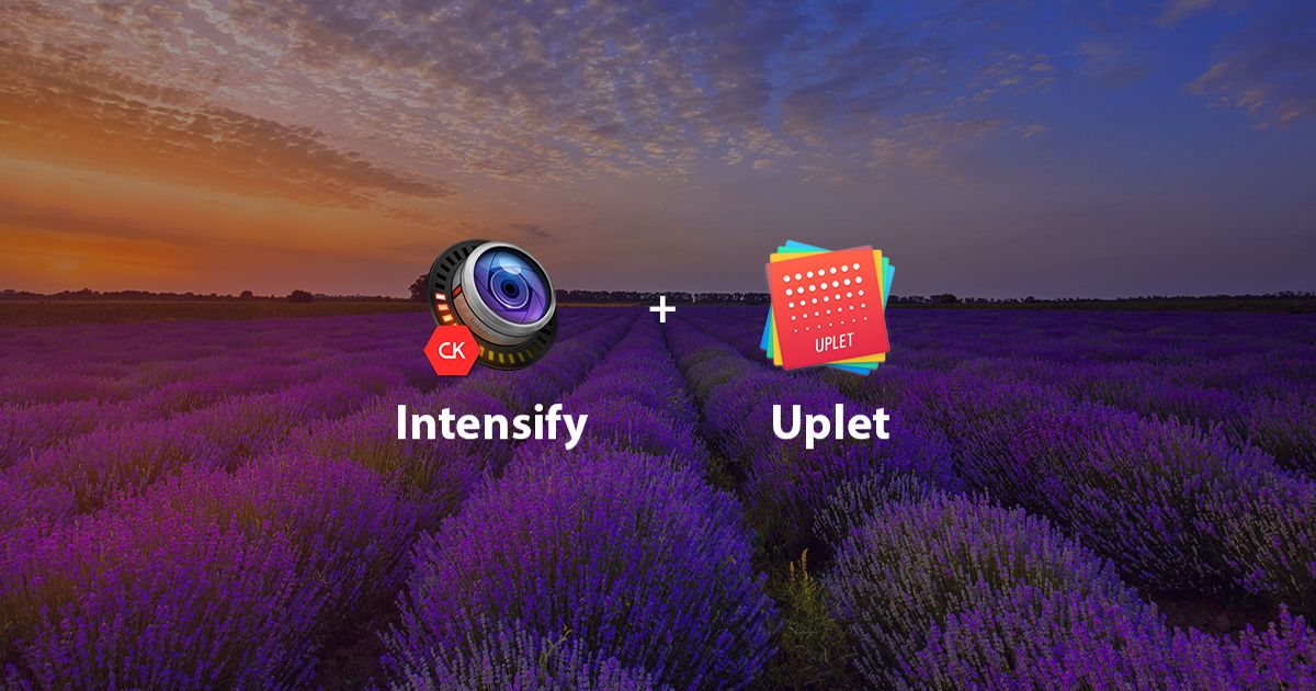 Get Intensify CK and Uplet - 50% Off