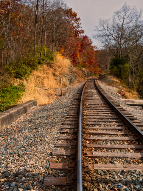 The tracks in the Fall