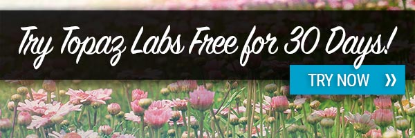 Topaz Labs Spring Sale