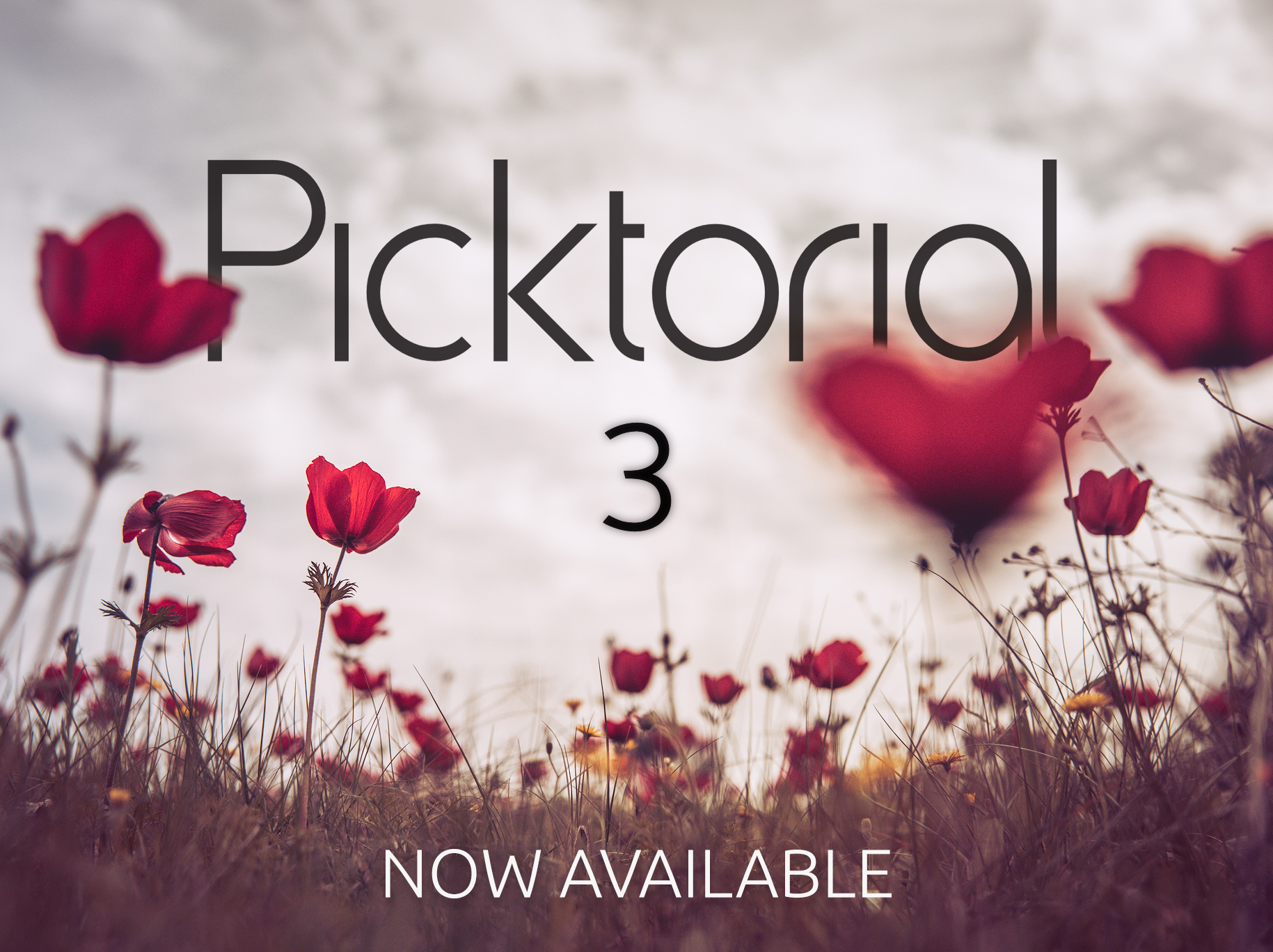 picktorial trial version