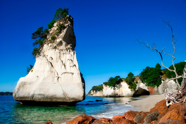 Cathedral Cove New Zealand